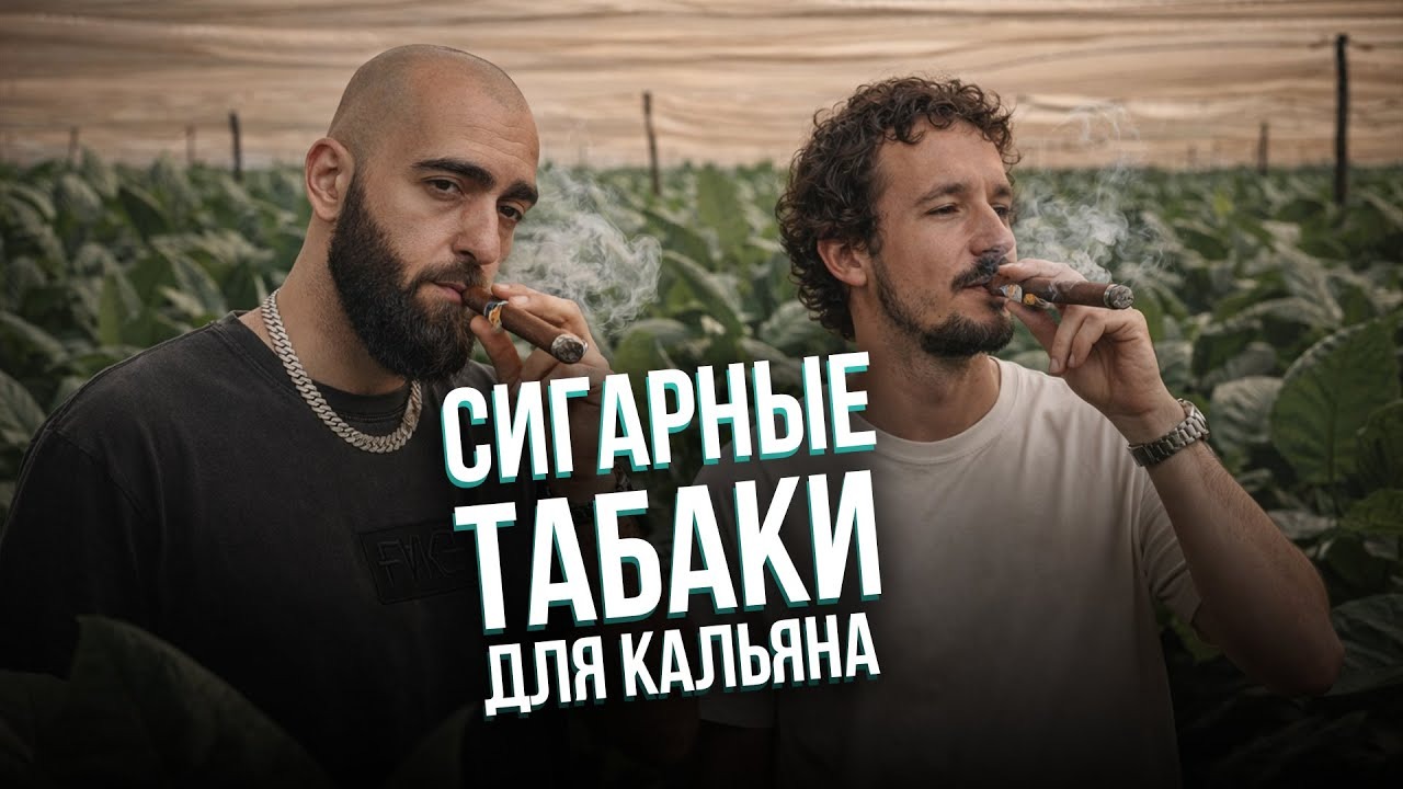 Превью видео "HT №281. Сигарные табаки для кальяна. Какой бренд лучше?"